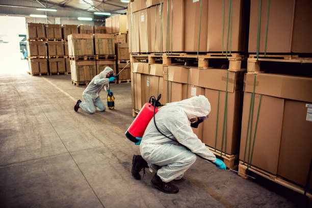 Best Pest Control for Homes  in Minoa, NY