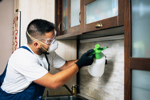 Best Pest Inspection Near Me  in Minoa, NY
