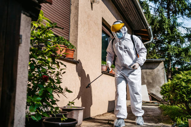 Best Wildlife Control Services  in Minoa, NY