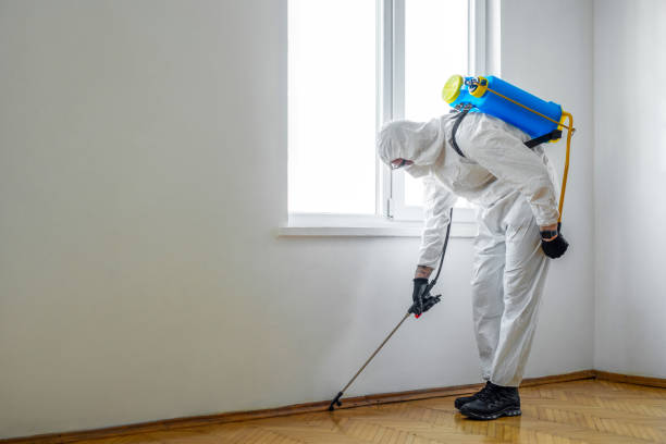 Best Wasp Removal Services  in Minoa, NY