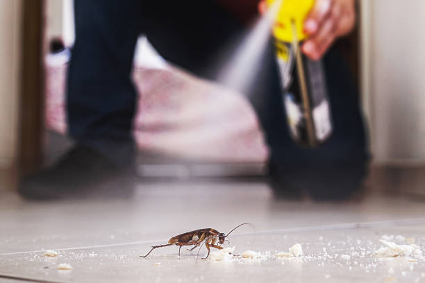 Best Residential Pest Control  in Minoa, NY