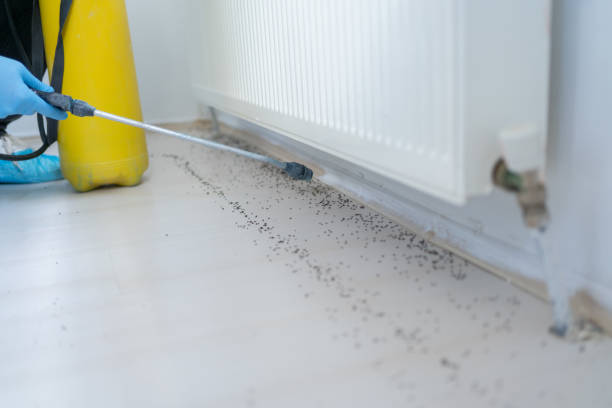 Best Mosquito Control Services  in Minoa, NY