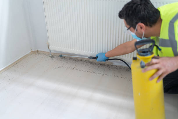 Best Affordable Pest Control Services  in Minoa, NY