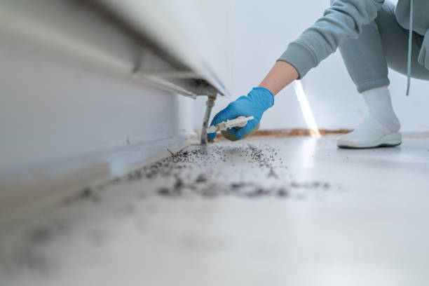 Professional Pest Control in Minoa, NY